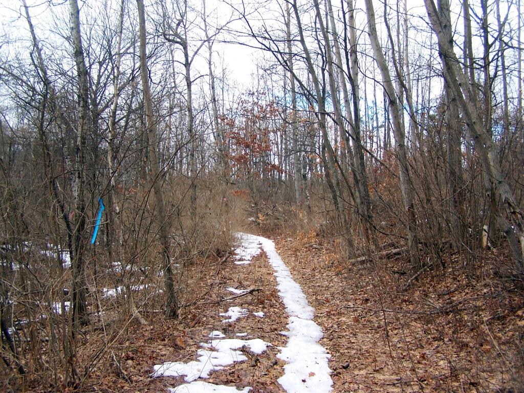 Photo: Centerville Road in the Forbidden Zone