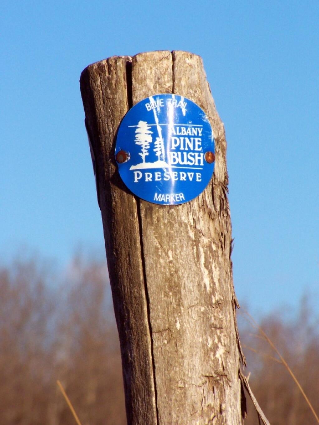 Photo: Blue Trail Marker