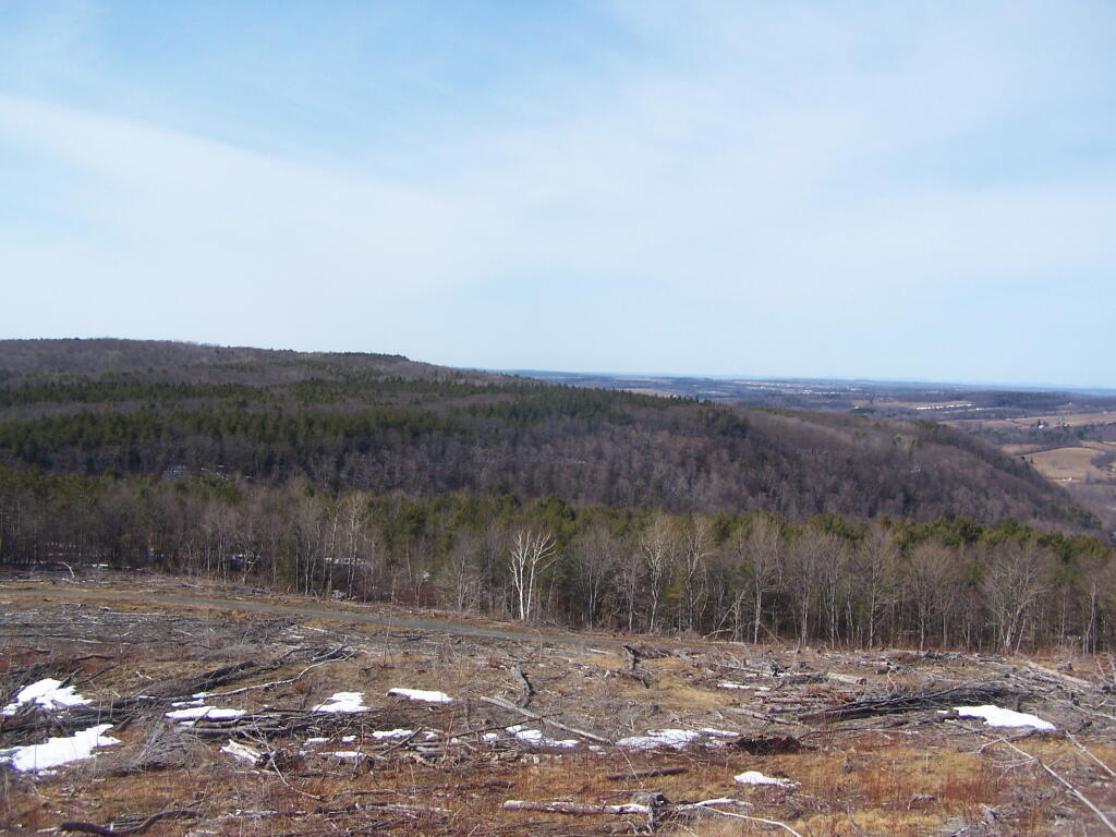 Photo: Irish Hill