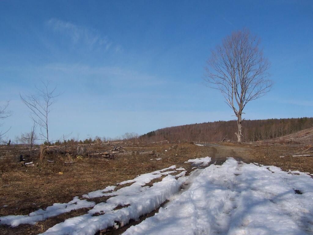 Photo: Across Cole Hill Towards Filkins Hill