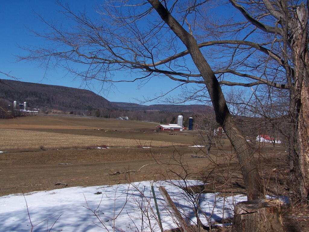 Photo: Dead Gray Time of Year