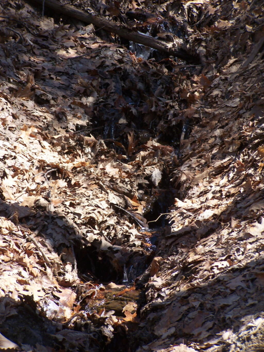 Photo: Snow Melt Coming Down the Mountain