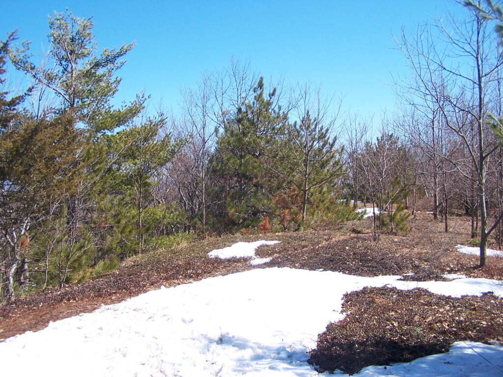 Photo: Still Some Snow