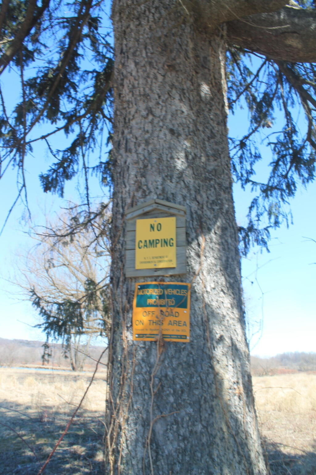Photo: No Camping or Off-Roading at Whitney Point