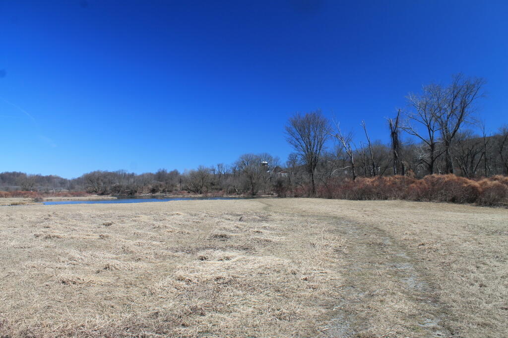 Photo: Near the Mouth of Otselic River