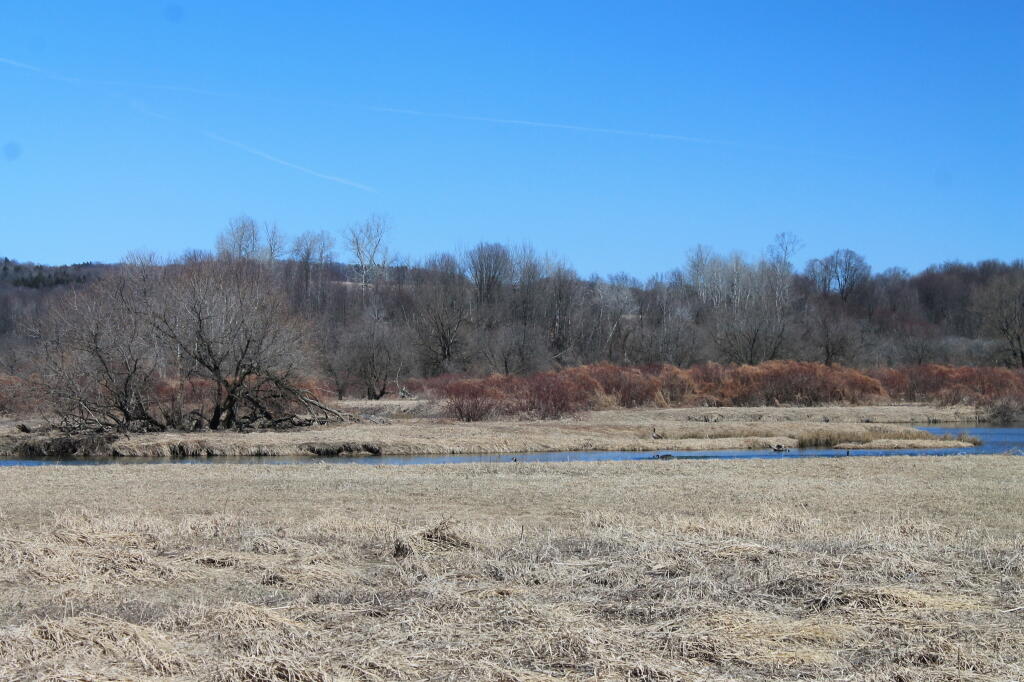 Photo: Ostelic River
