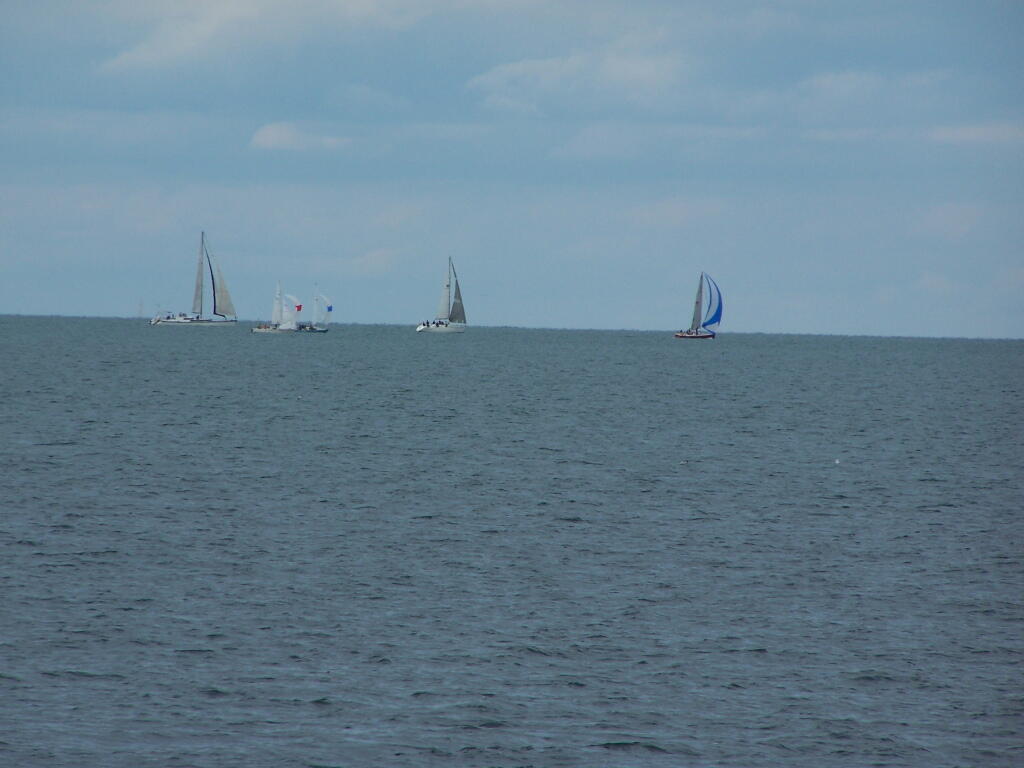 Photo: Sailboats