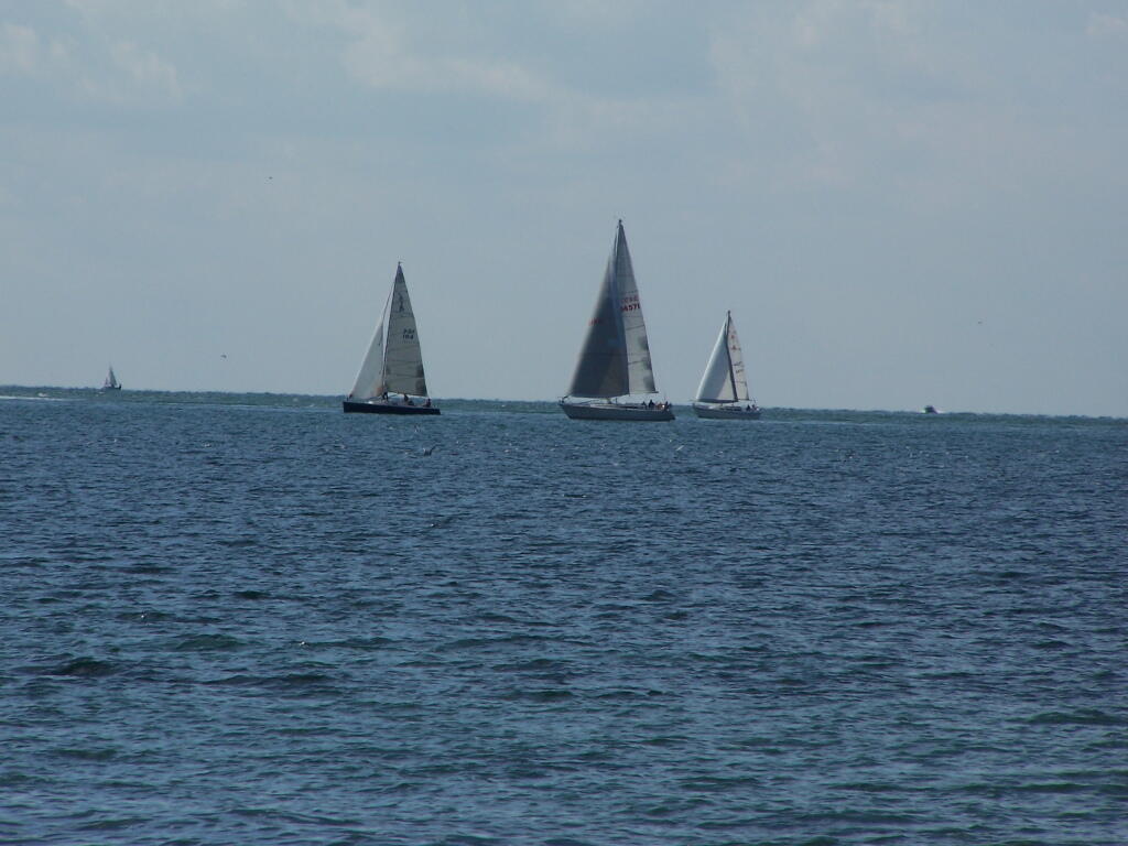 Photo: Sailboats