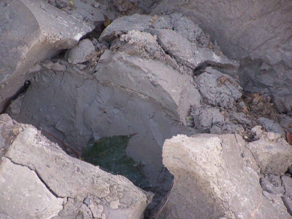 Photo: Clay Along the Lake