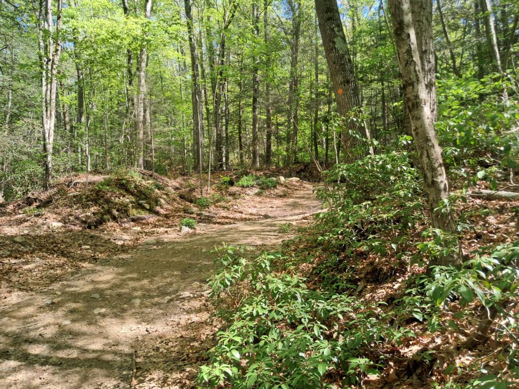 Photo: Trail