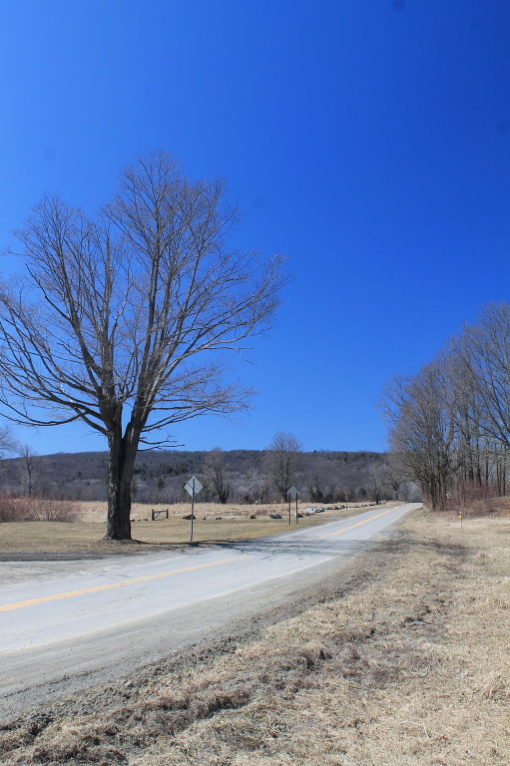 Photo: Merrill Creek Road