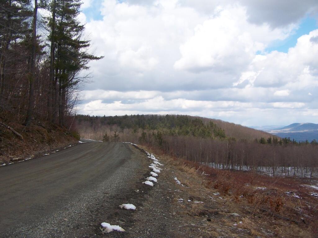 Photo: Harvey Mountain Truck Trail