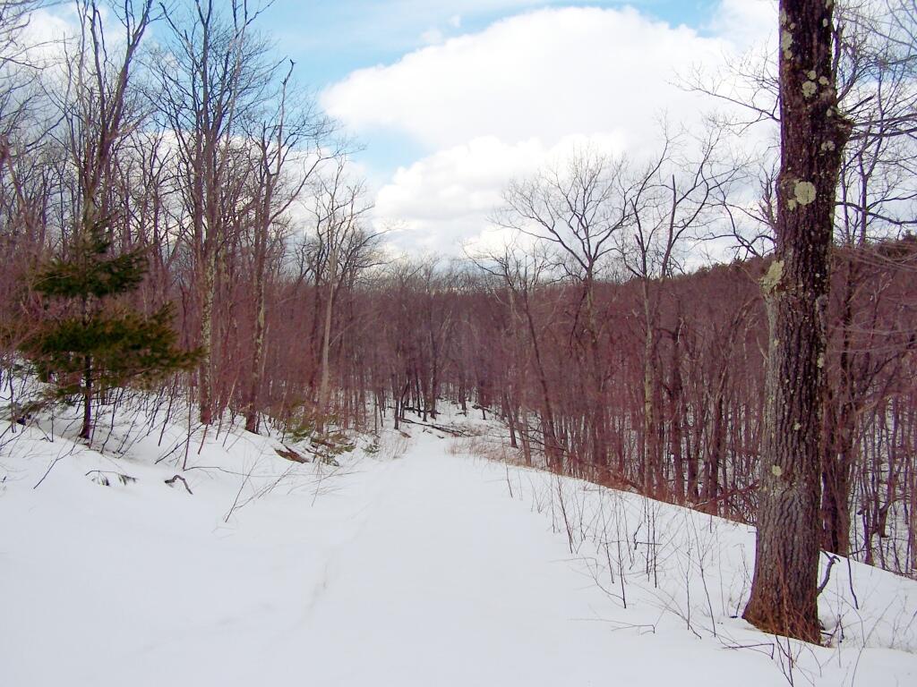 Photo: Decending an Unnamed Hill
