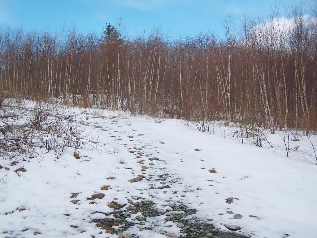 Photo: Rocks Peaking Out of Snow