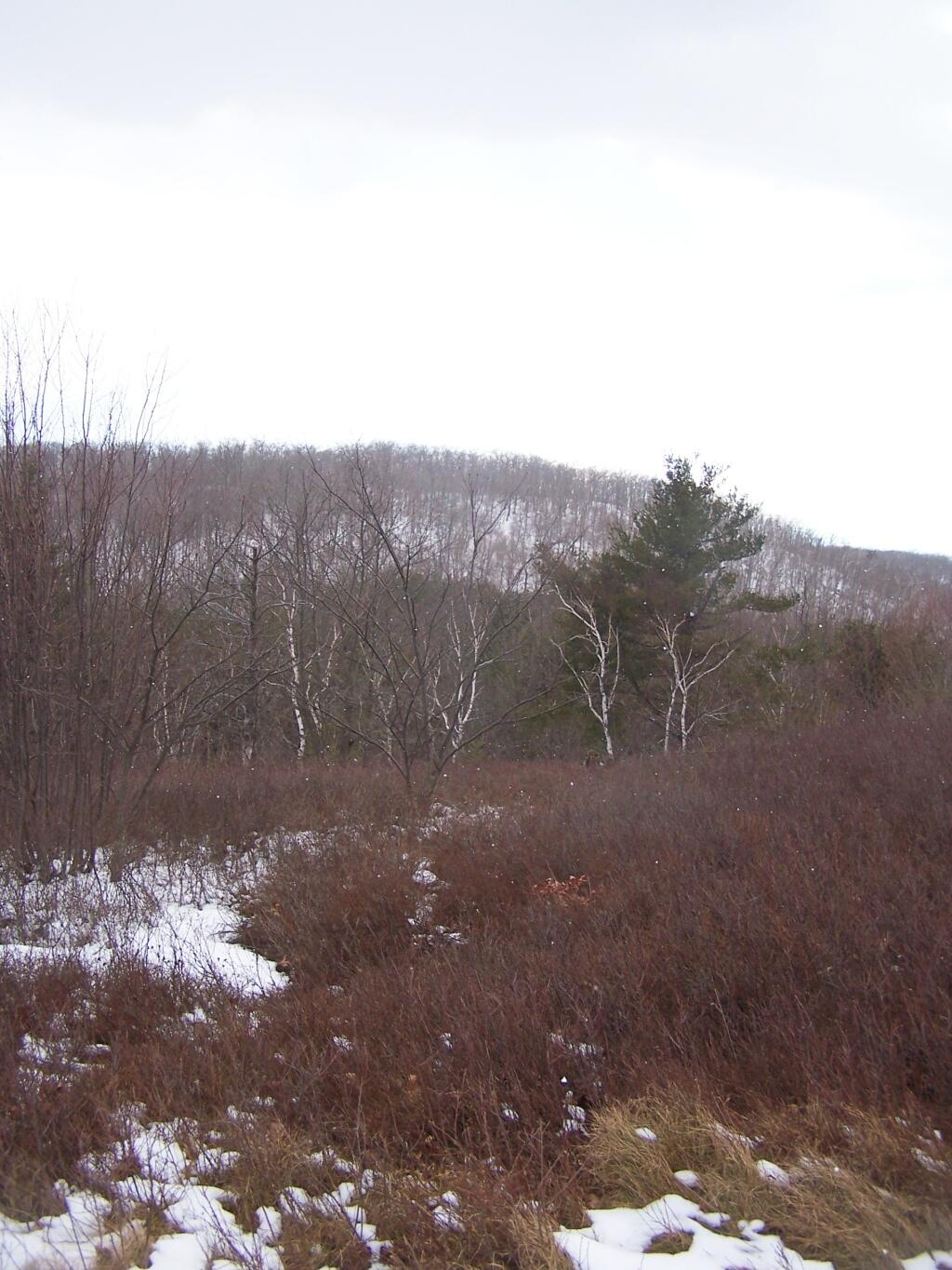 Photo: Looking Towards an Unamed Hill