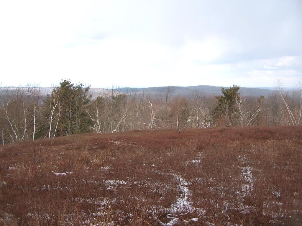 Photo: West from Harvey Mountain