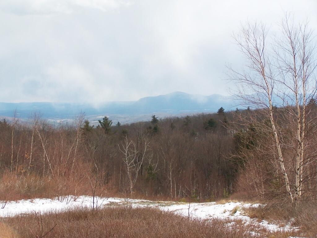 Photo: Towards Tom Ball Mountain