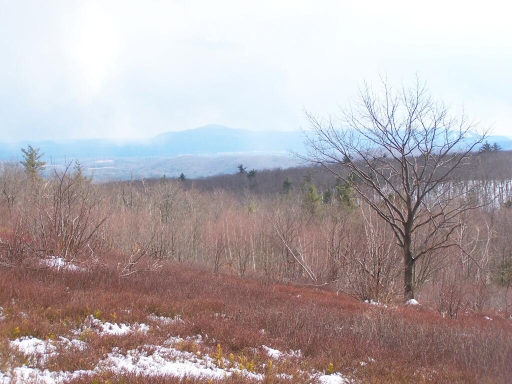 Photo: Snowing ...