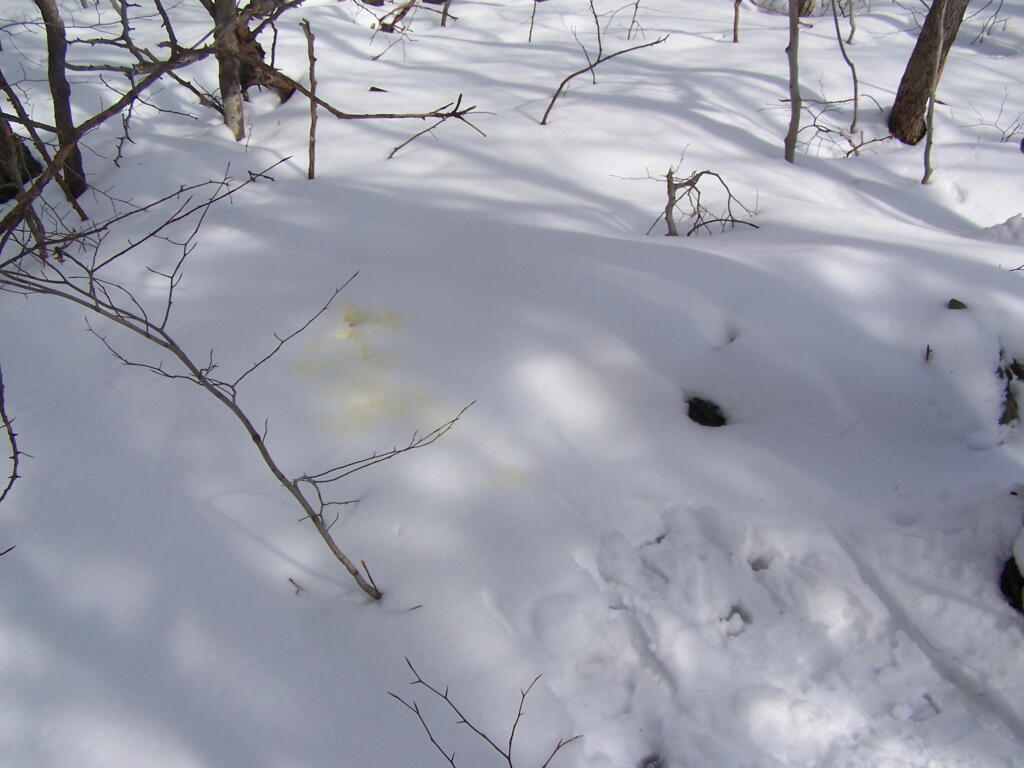 Photo: Peeing Across State Lands
