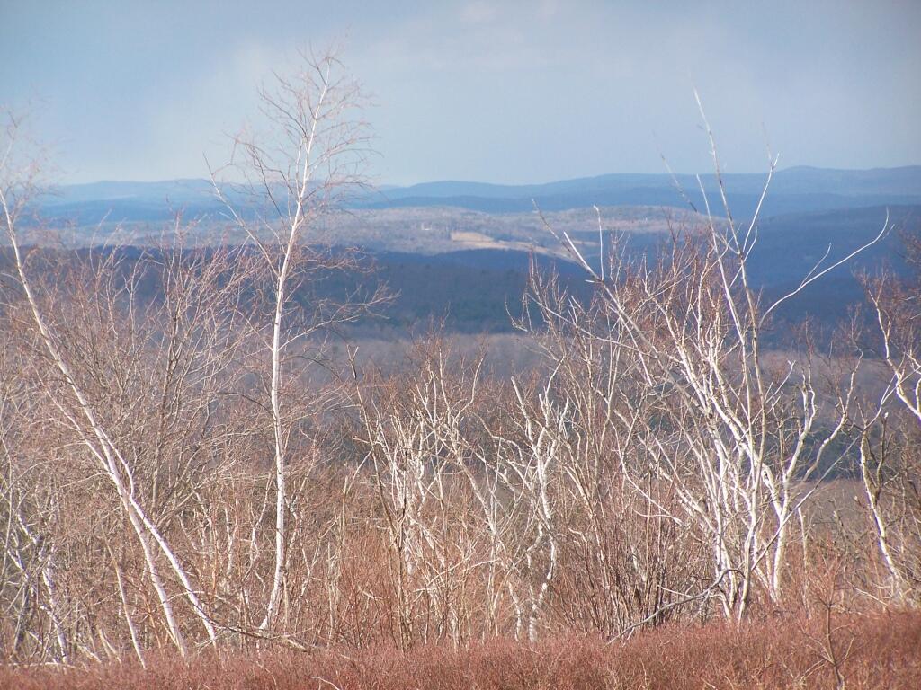 Photo: North