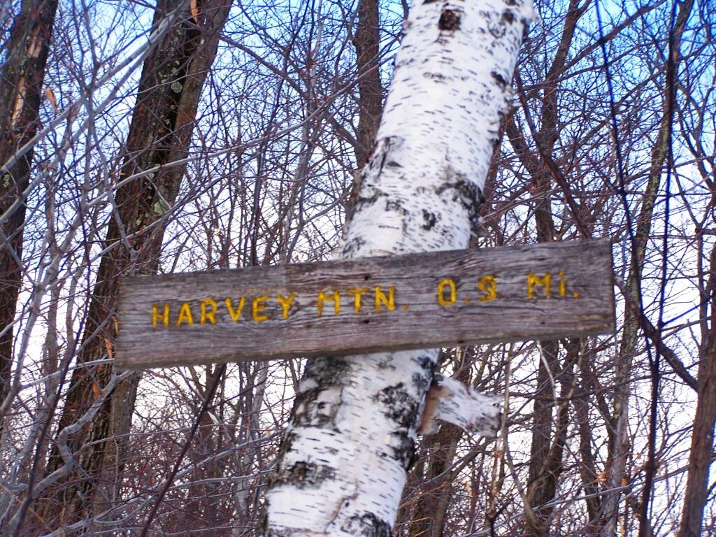 Photo: Harvey Mountain
