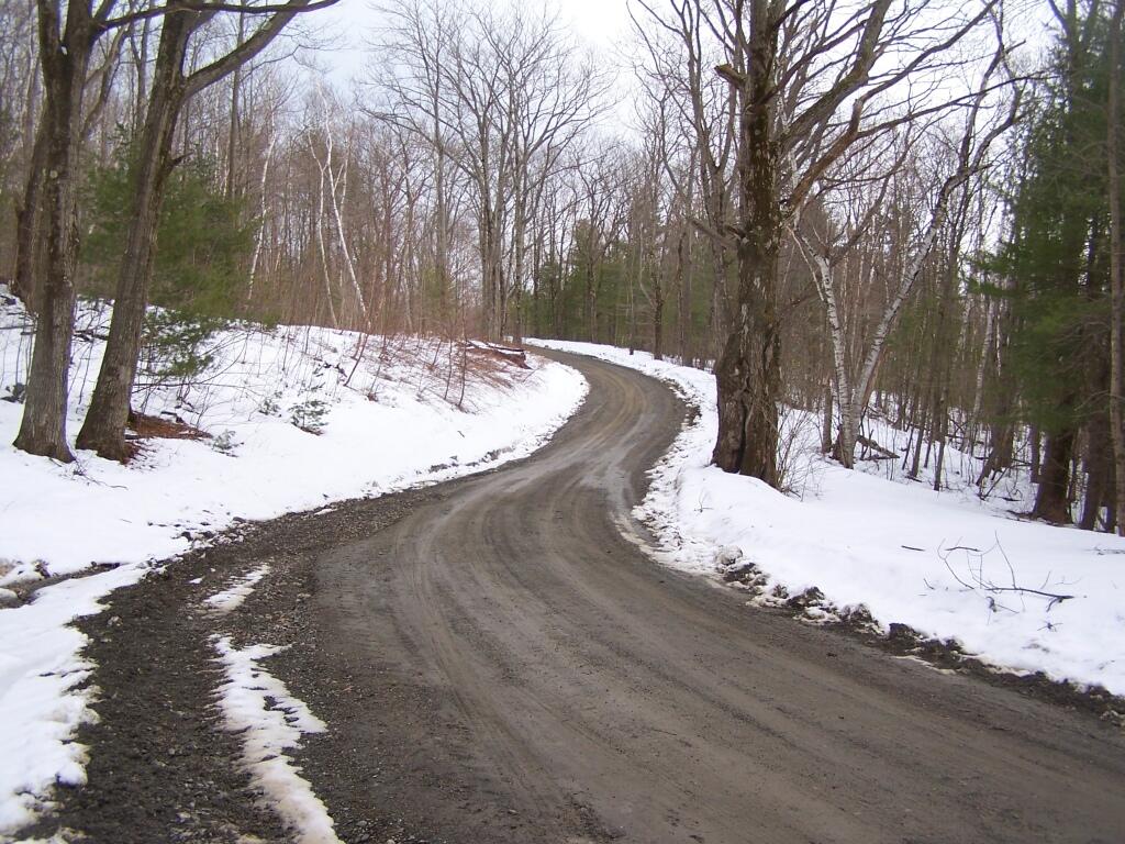 Photo: Harvey Mountain Truck Trail