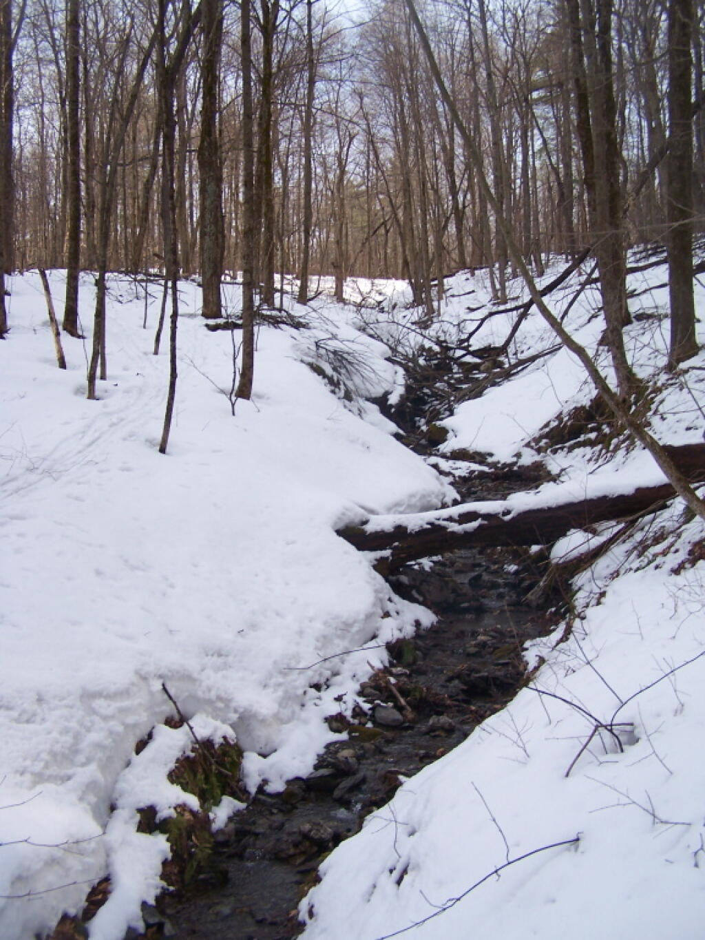 Photo: Snow Melt