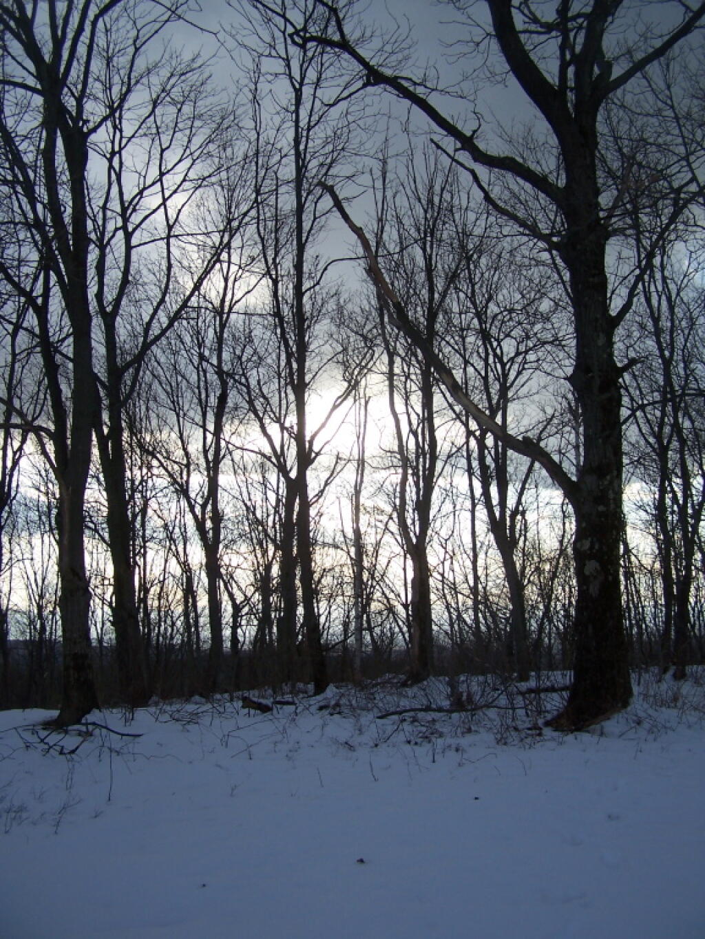 Photo: View South