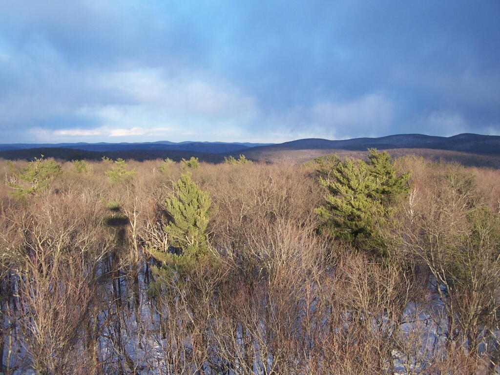 Photo: North-West