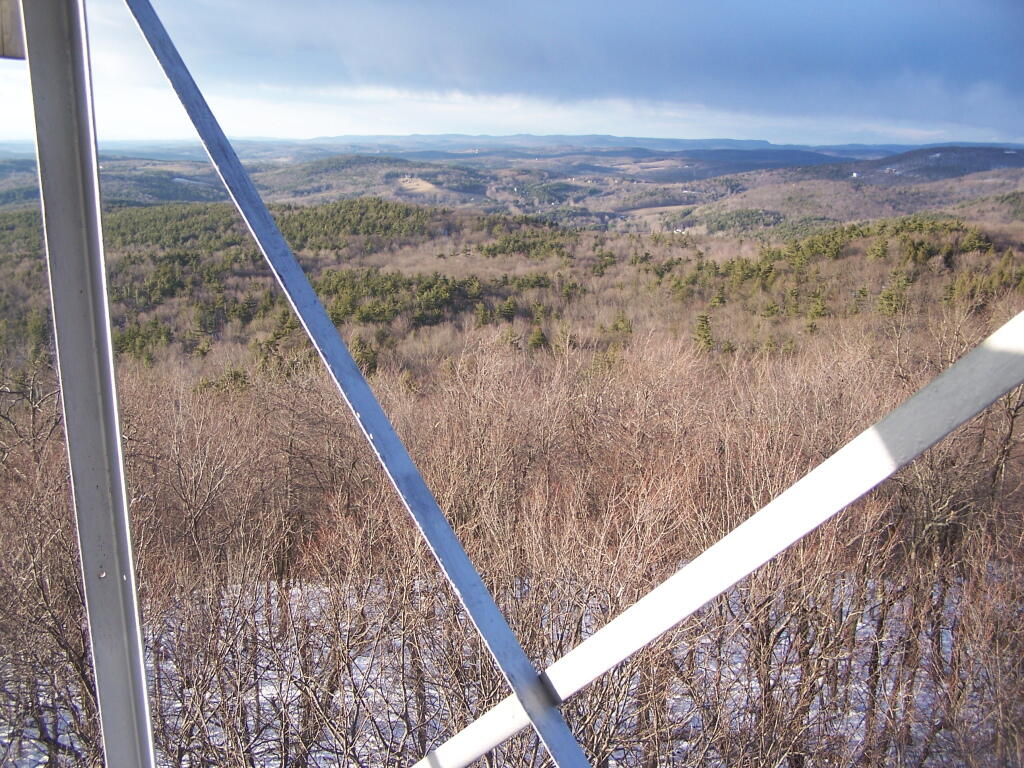 Photo: Looking Through Tower