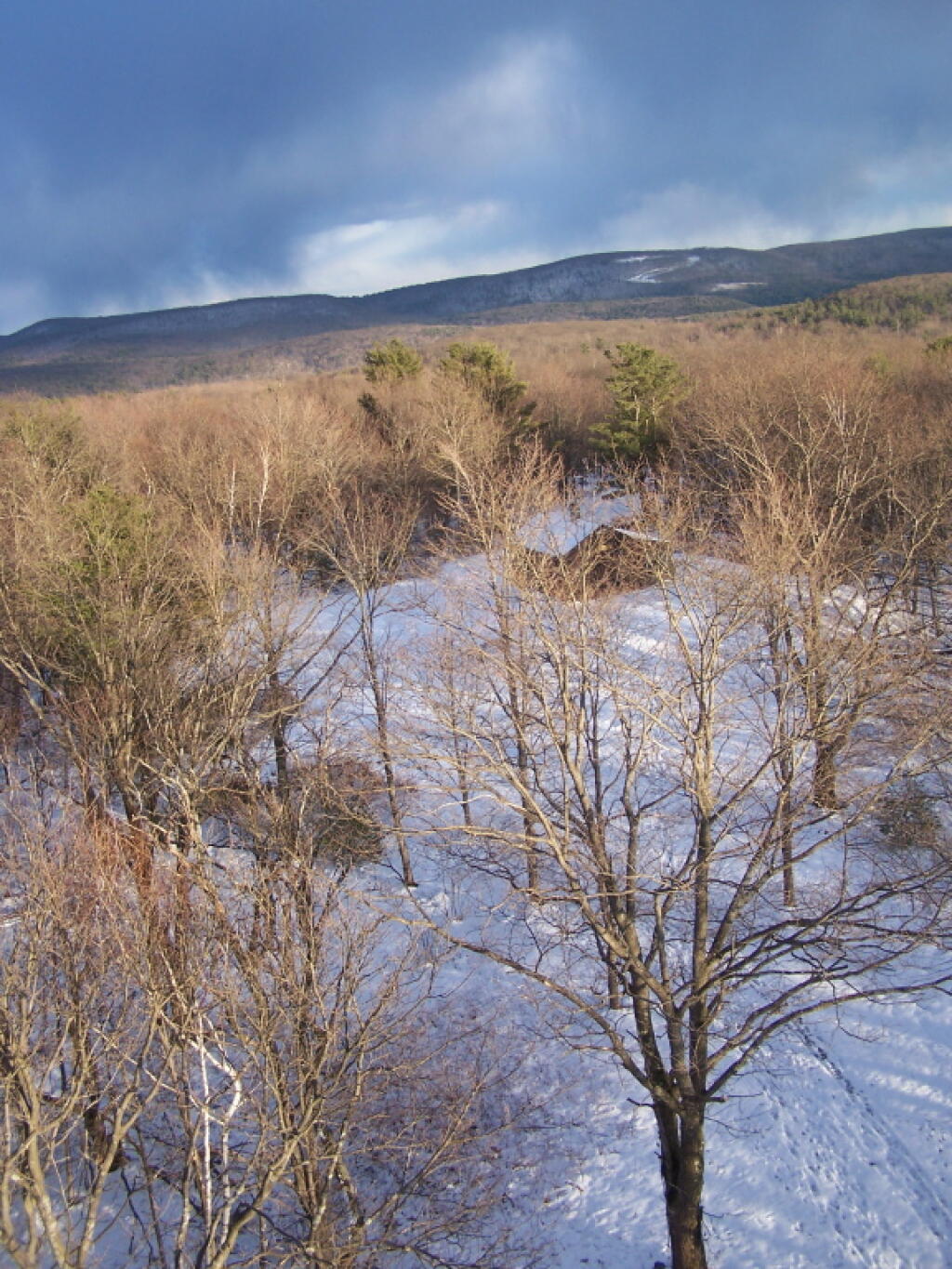 Photo: West Towards Harvey Mountain