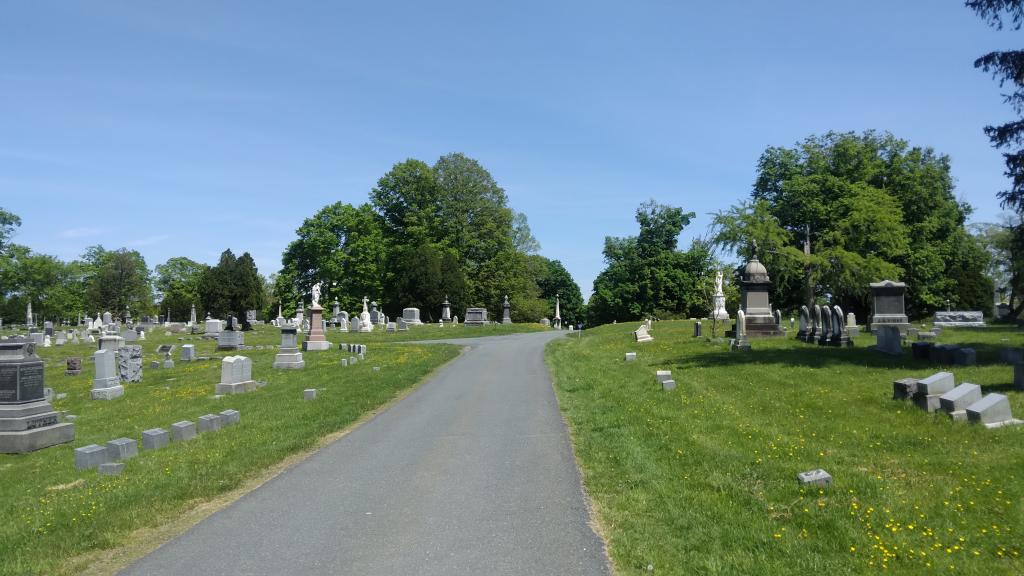 Photo: Exploring the Albany Rural Cementary