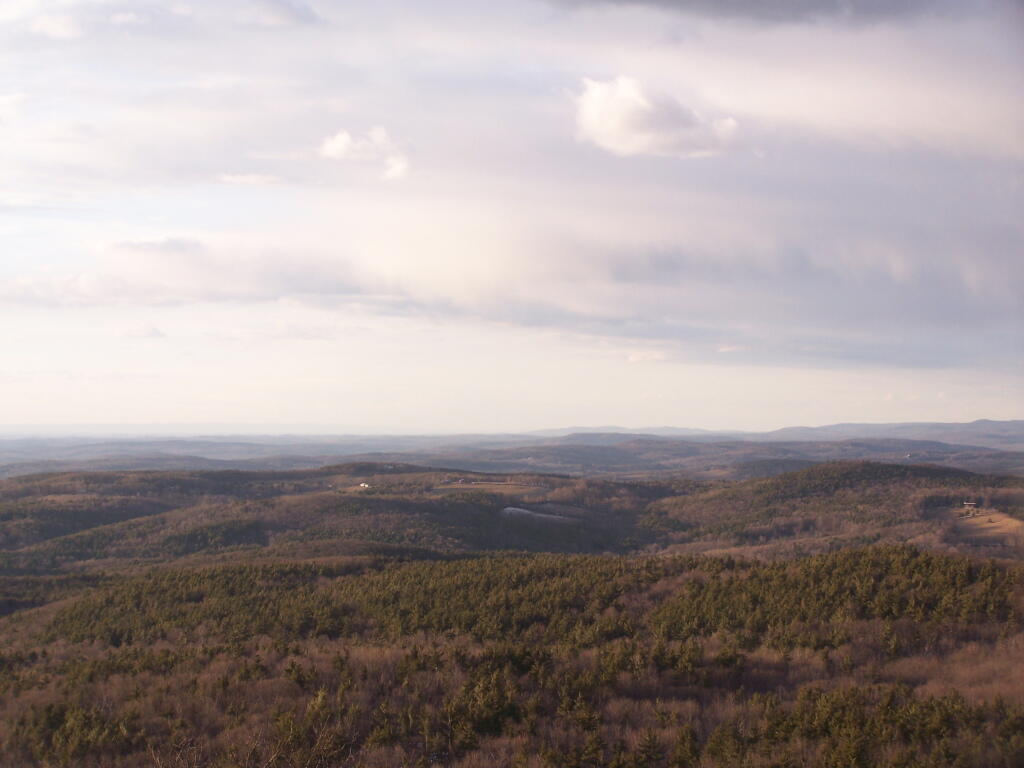 Photo: North in Evening Skies