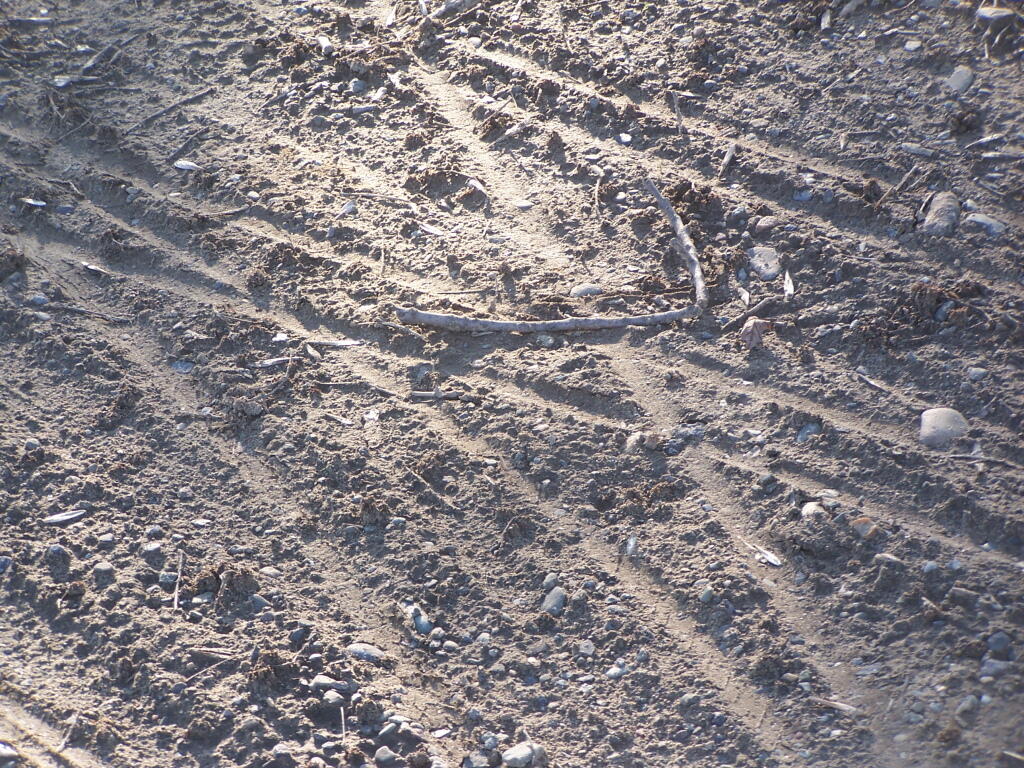 Photo: Bike Tracks