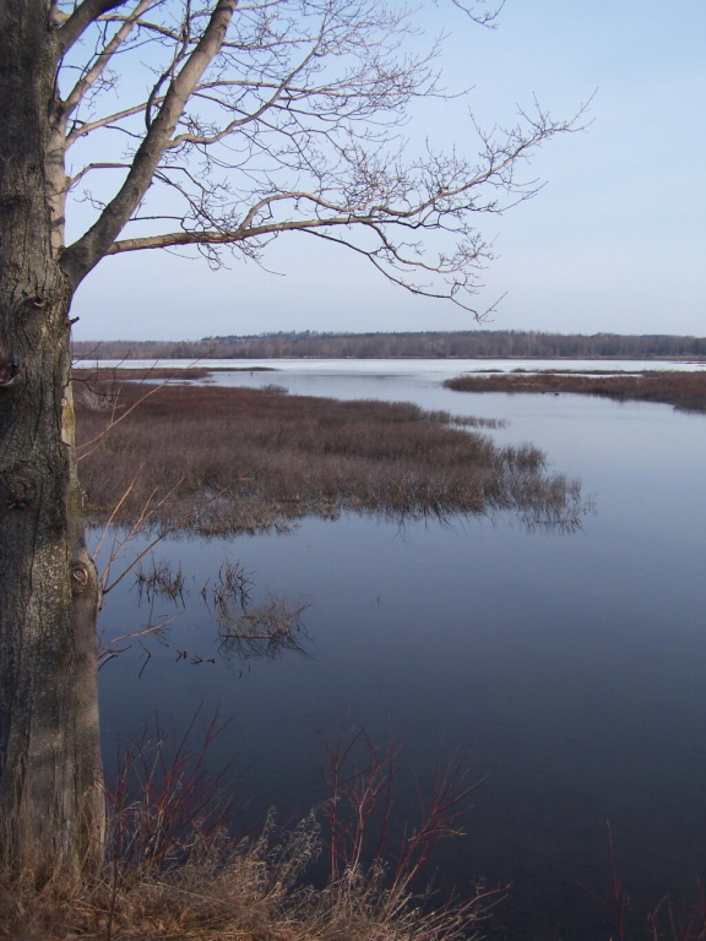 Photo: Edge of Weaver Lake