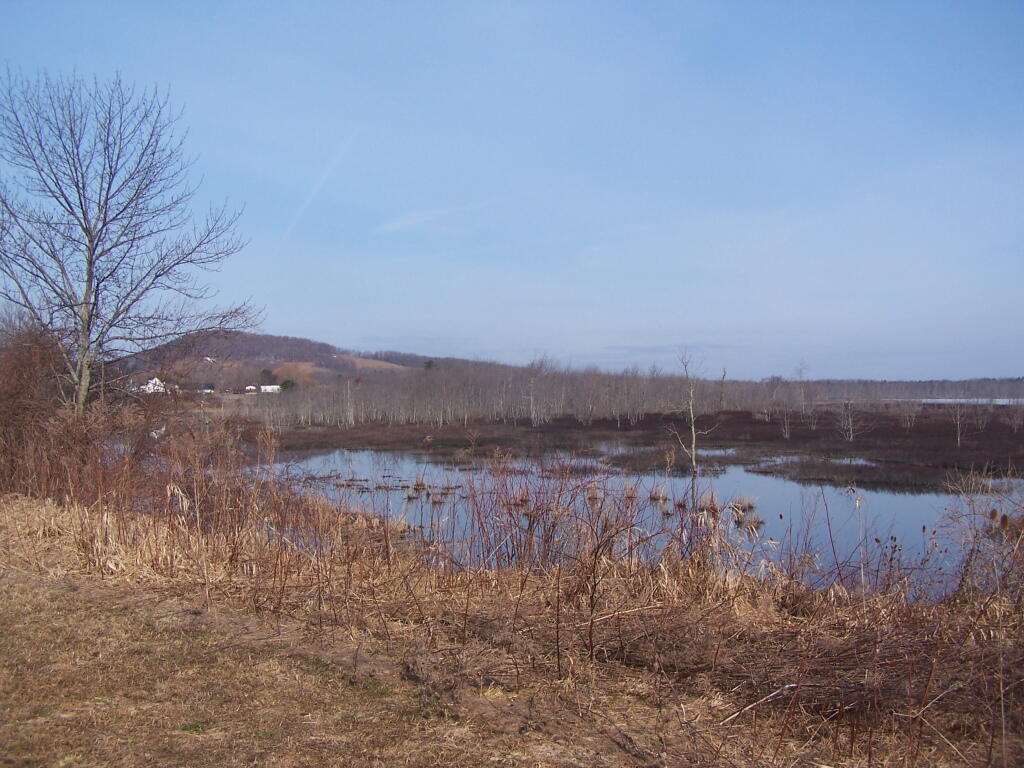 Photo: Looking Towards Richmondville