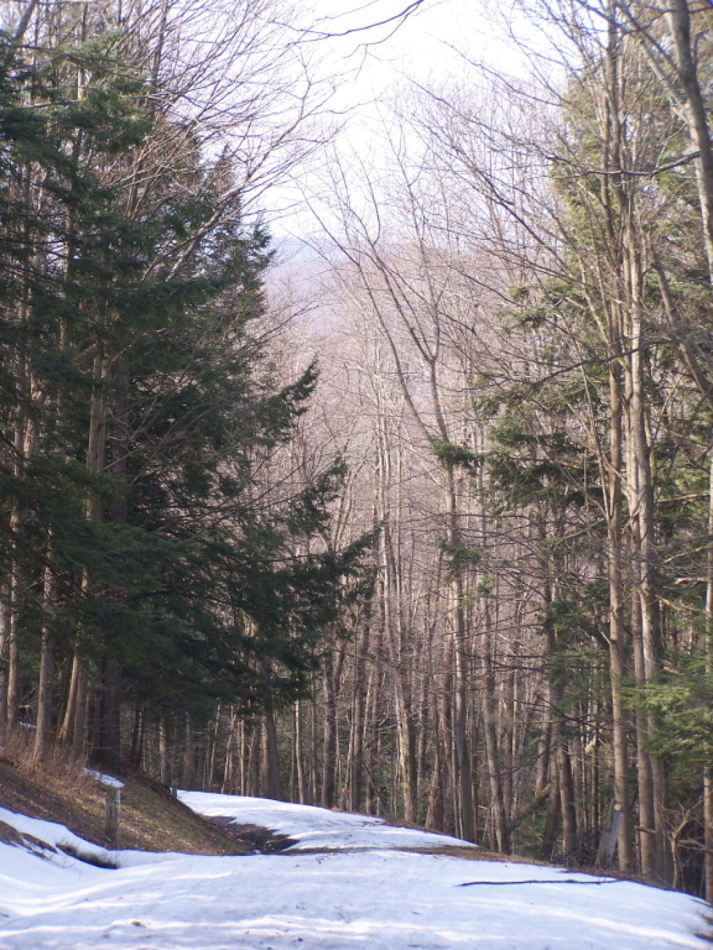 Photo: Descending the Hill