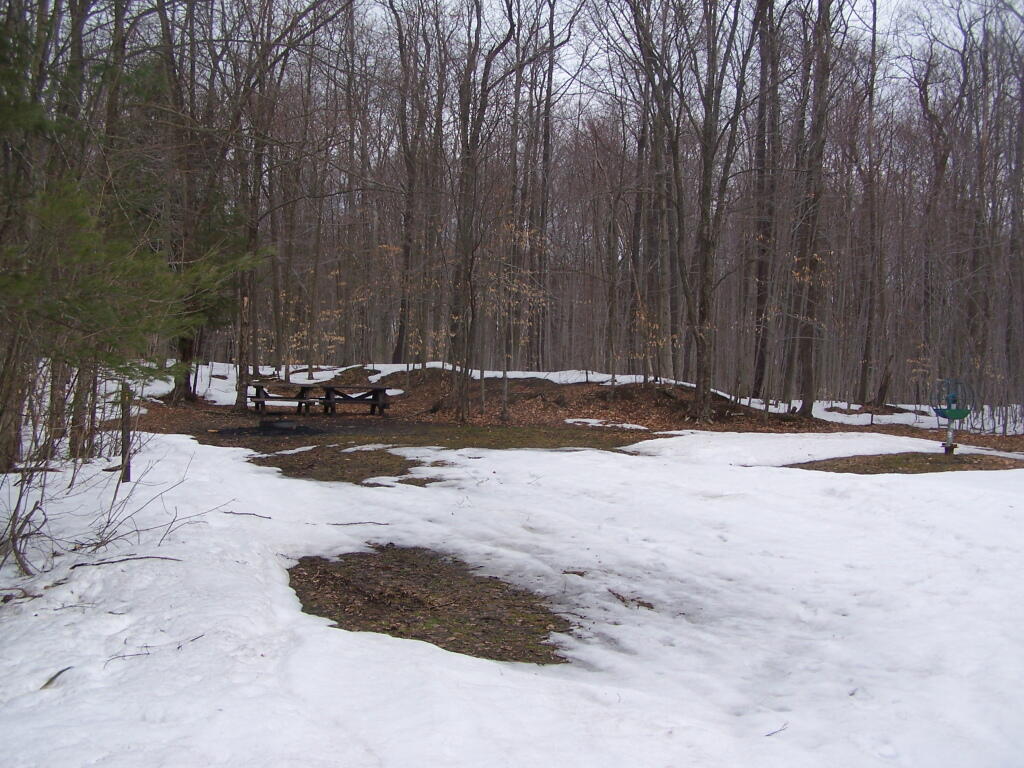 Photo: Campsite 1