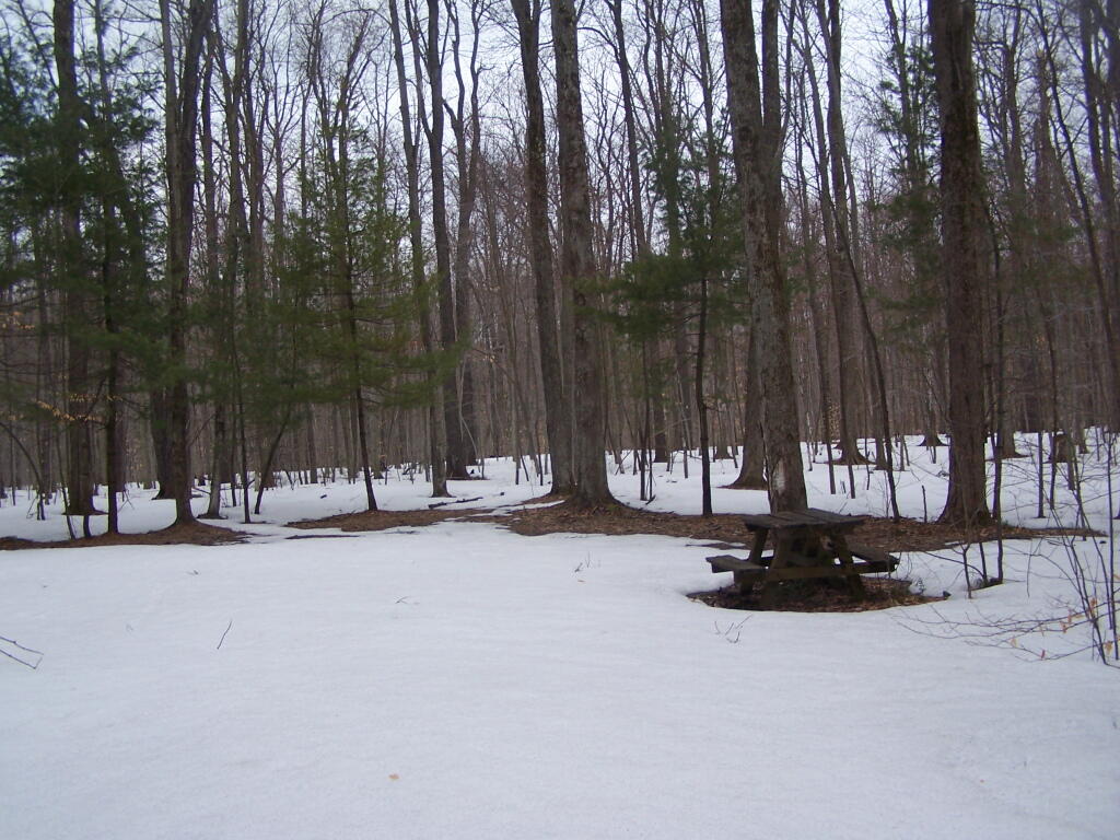 Photo: Campsite 3
