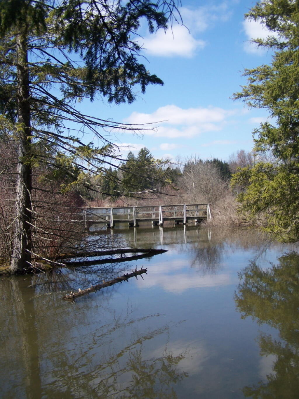 Photo: Bridge Out to Observation Deck