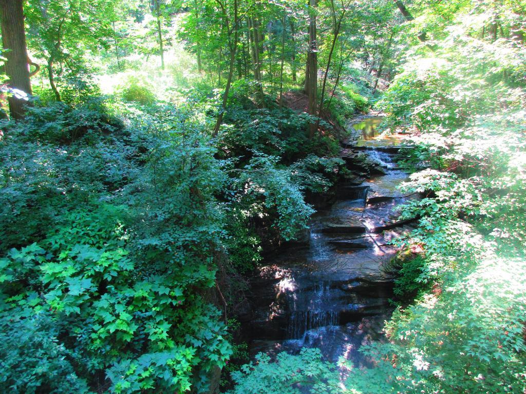 Photo: Waterfall along the Black Diamond Trail