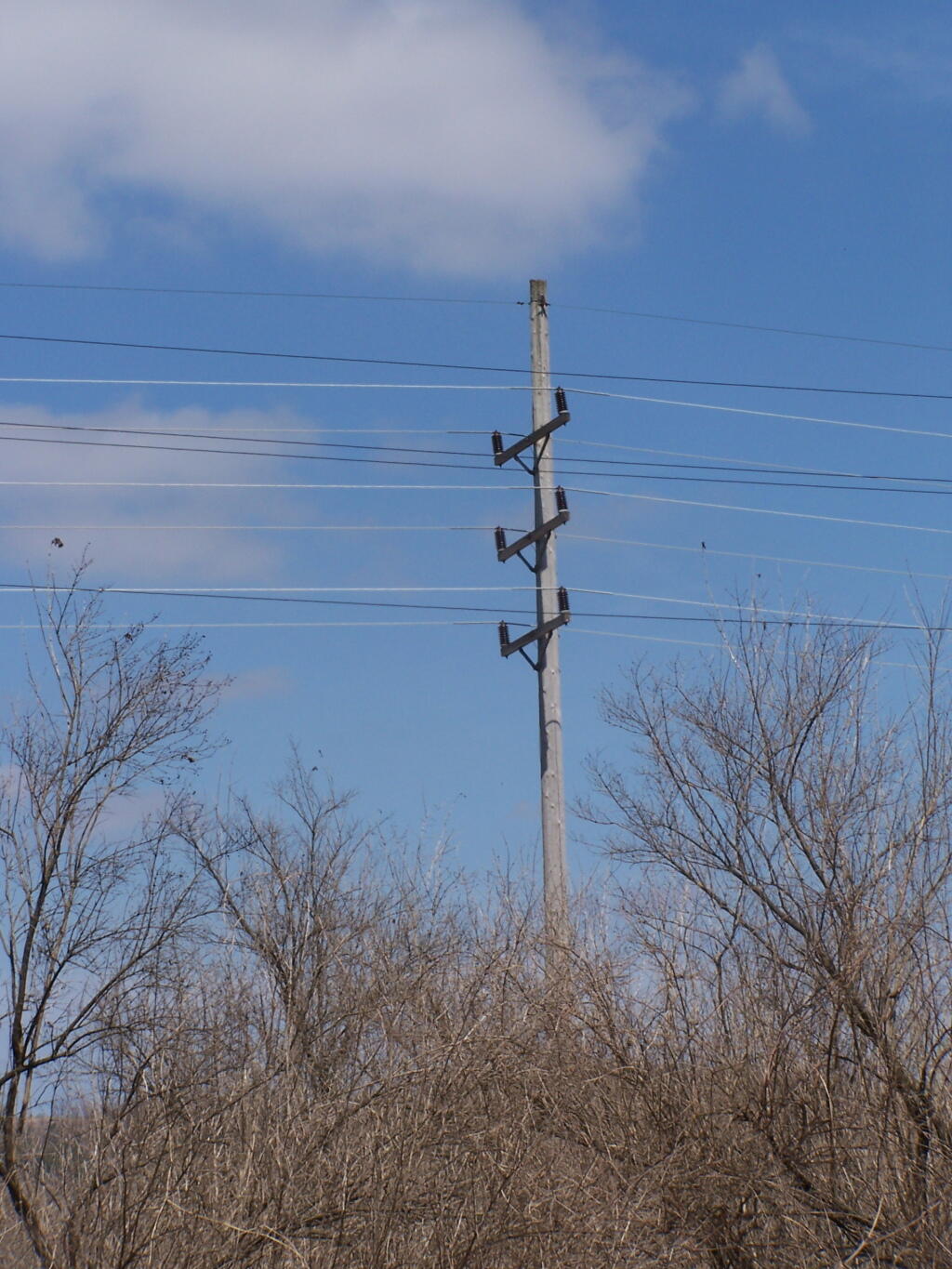 Photo: Powerline