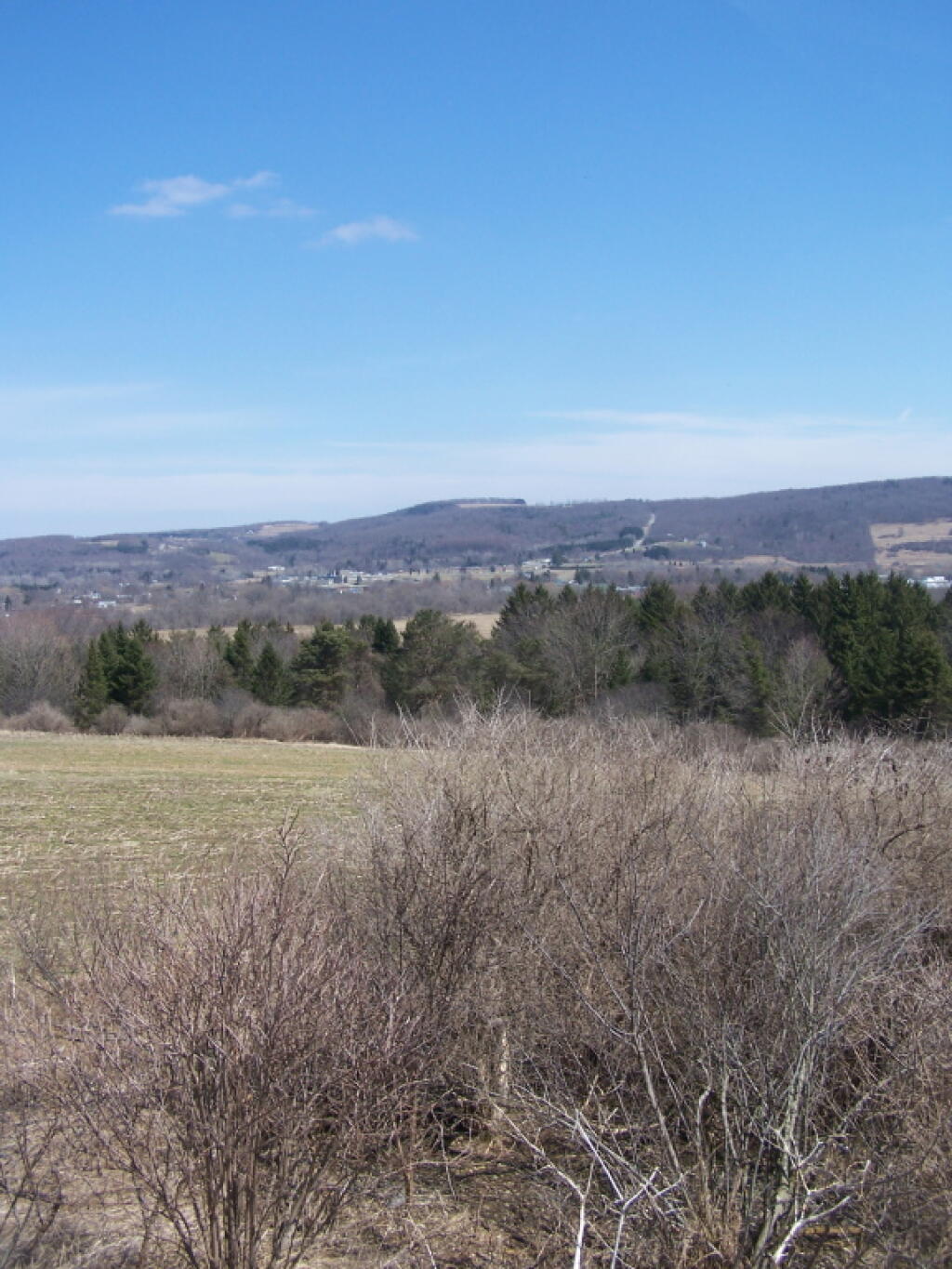 Photo: North East