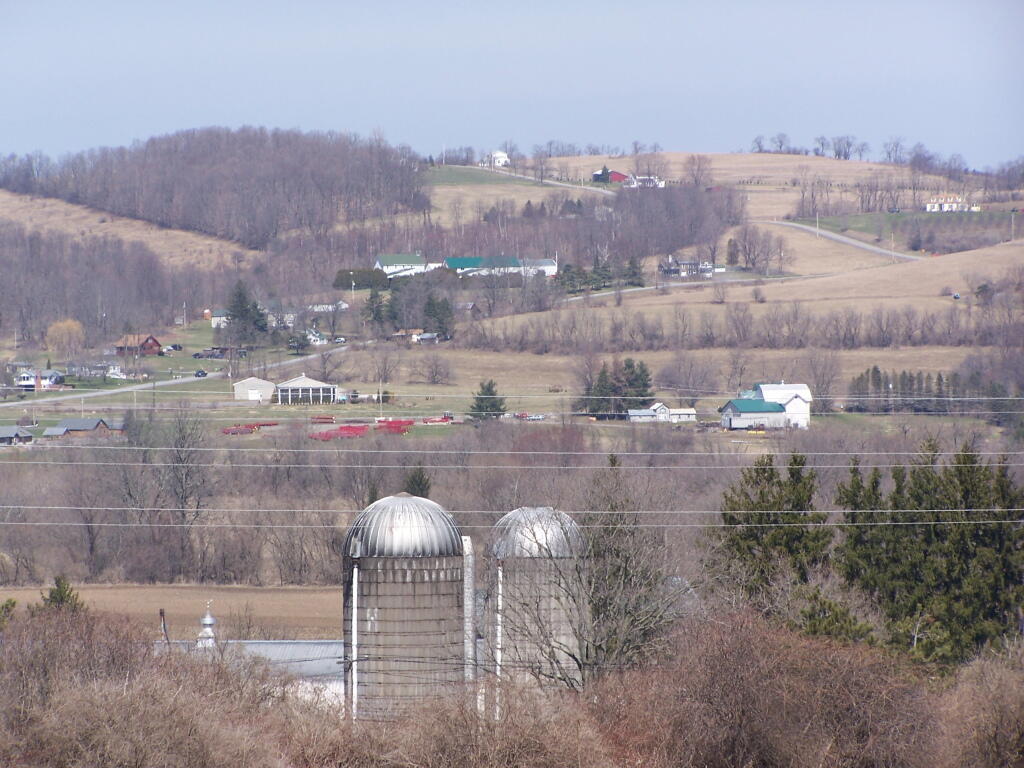 Photo: North