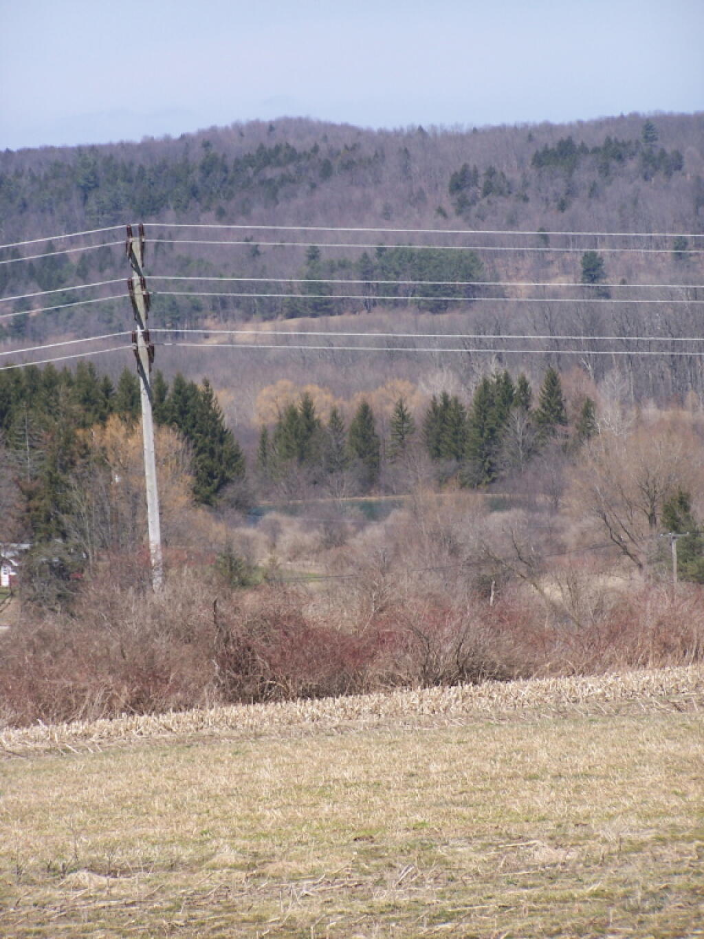 Photo: Powerline to West