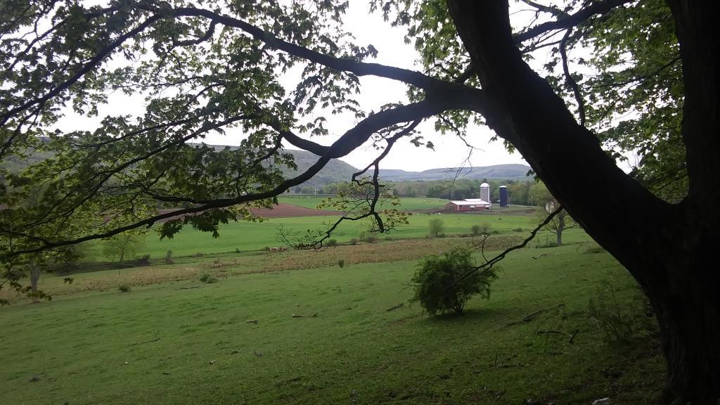 Photo: Rainy spring evening hiking Bennett Hill