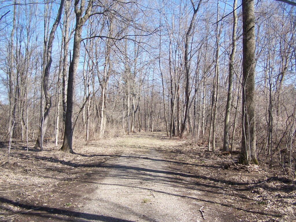 Photo: Hiking Down to Chenango River