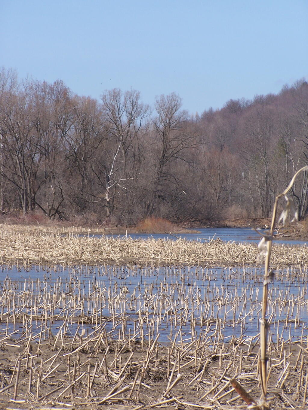Photo: Chenango River Flooding Farm Field