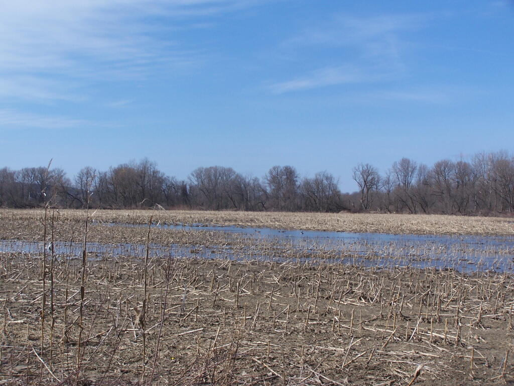 Photo: Saturated Farm Field