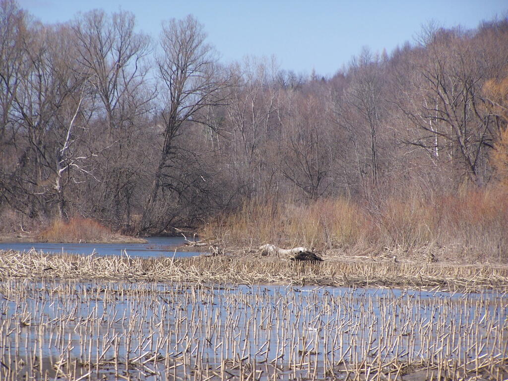 Photo: Chenango River